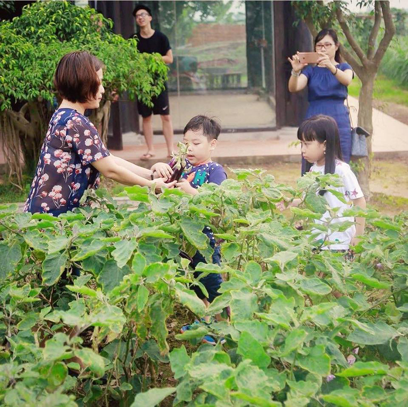 Trải nghiệm ECO Farm Trải nghiệm ECO Farm