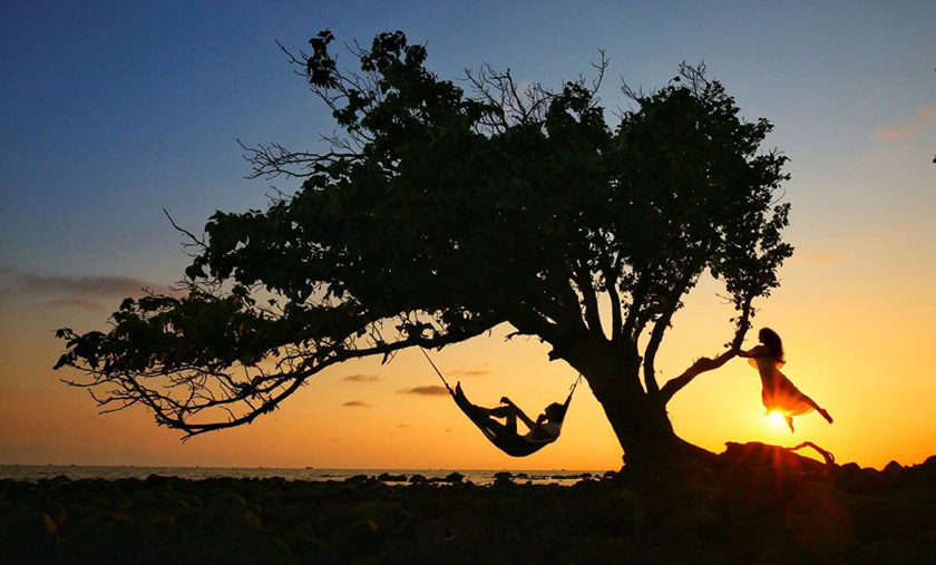 đảo đồi mồi phú quốc đảo đồi mồi phú quốc