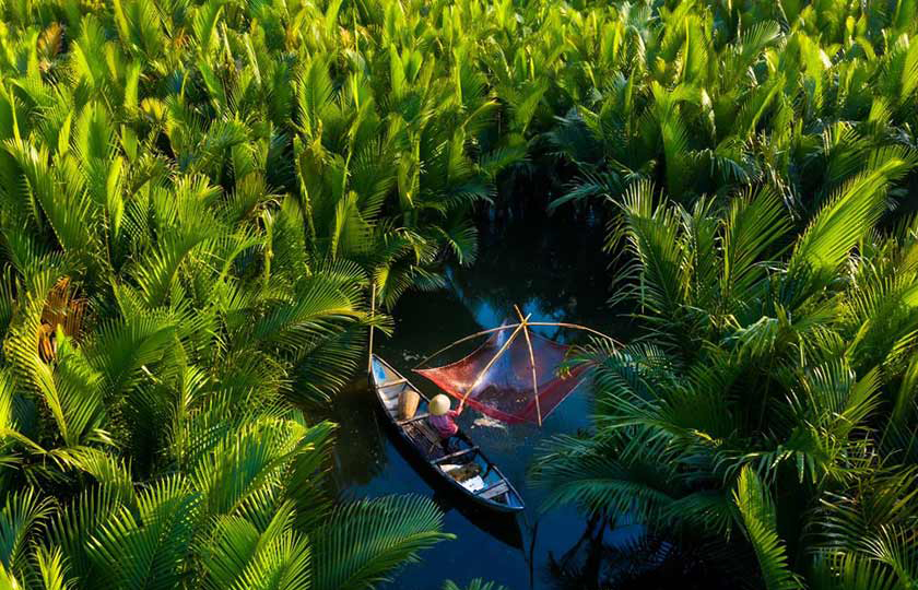 Rừng dừa bảy Mẫu Rừng dừa bảy Mẫu