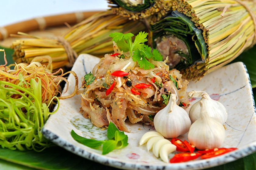 tré bình định tré bình định