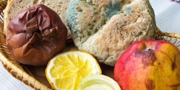 Tác hại của thời tiết nồm ẩm