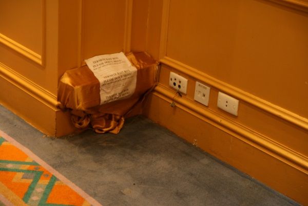 Cách diệt mối tận gốc