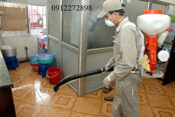 10 Nguyên tắc Vàng khi Tự Phun muỗi tại nhà