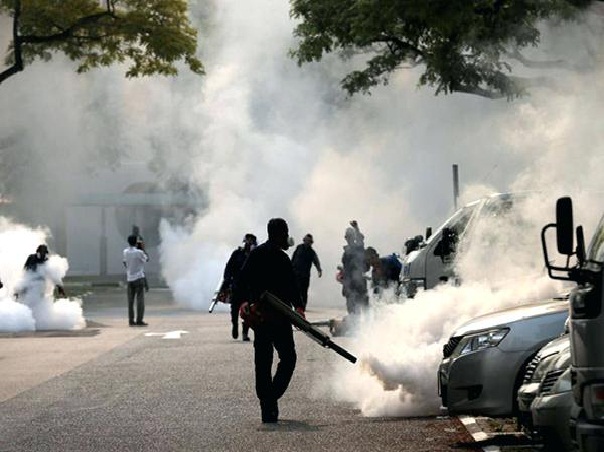 Diệt trừ côn trùng gây hại