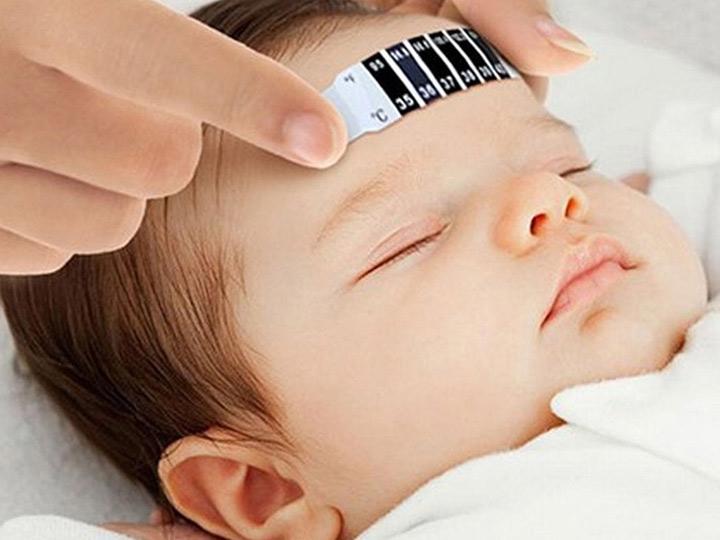 muỗi gây bệnh viêm màng não ở trẻ nhỏ