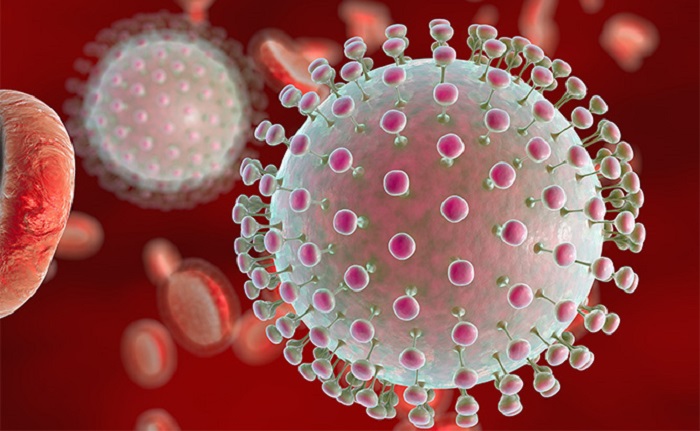 muỗi truyền virus zika