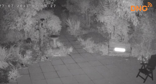 Chất lượng của camera an ninh hồng ngoại Wisenet Q series