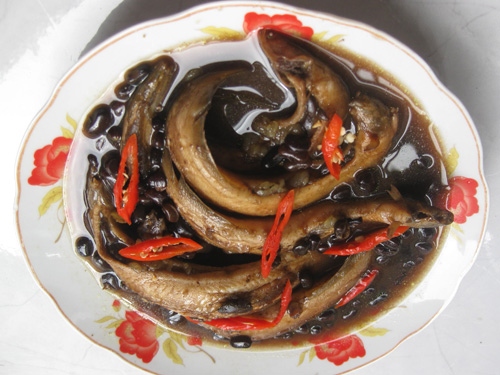 Bài thuốc dân gian chữa yếu sinh lý từ cá chạch