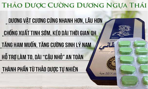 Cường dương Ngựa Thái