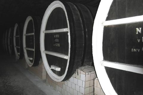 Hầm rượu vang
