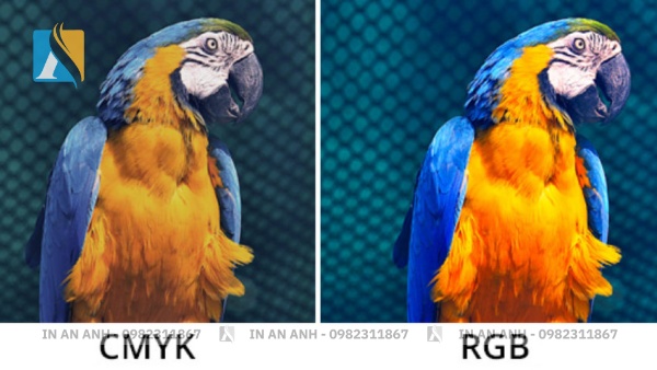 Hệ màu CMYK và RGB có sự khác biệt nhau trong thiết kế