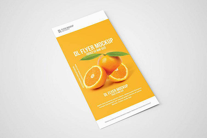 Mẫu Tờ Rơi Sáng Tạo