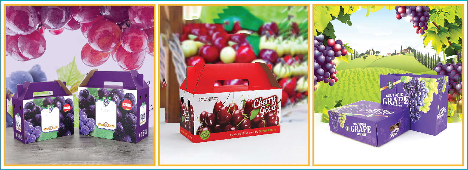 hộp đựng hoa quả