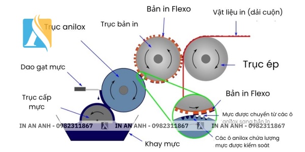 Chi tiết về cấu tạo cơ bản của máy in Flexo