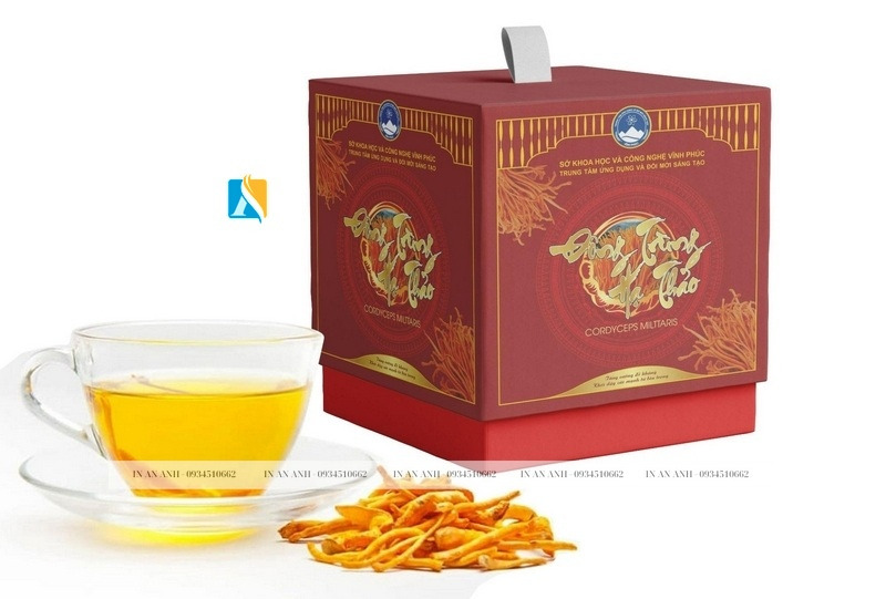 Hộp quà đông trùng hạ thảo đỏ sang trọng kèm tách trà và sợi đông trùng khô