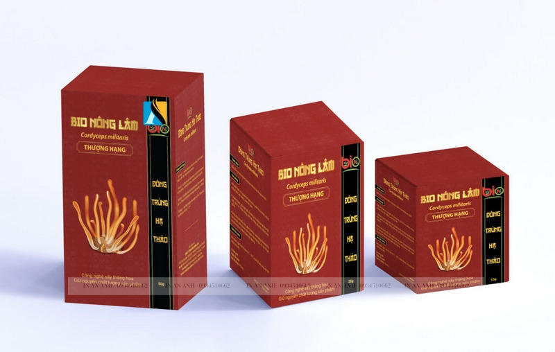 Hộp đông trùng hạ thảo bằng giấy Ivory