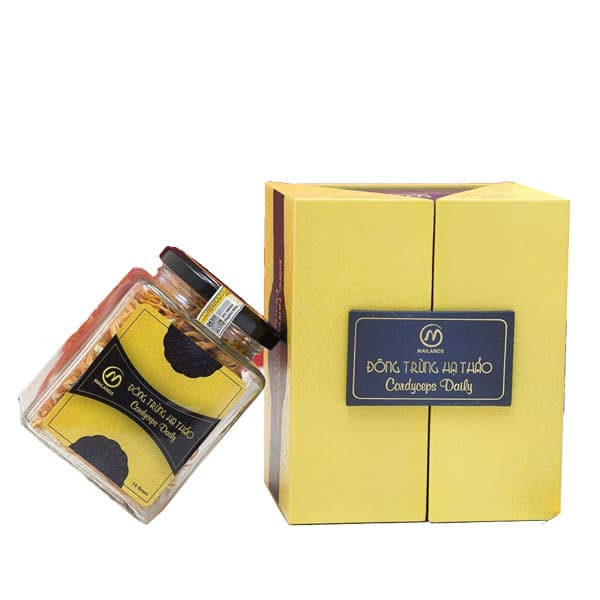 Hộp đông trùng hạ thảo nắp gài đơn giản, tiện dụng cho sản phẩm phổ thông