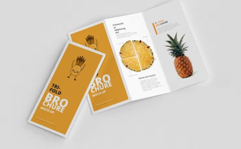 Đảm bảo đầy đủ các nội dung cần thiết