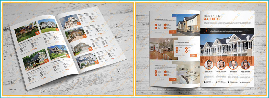 mẫu brochure của ngành bất động sản