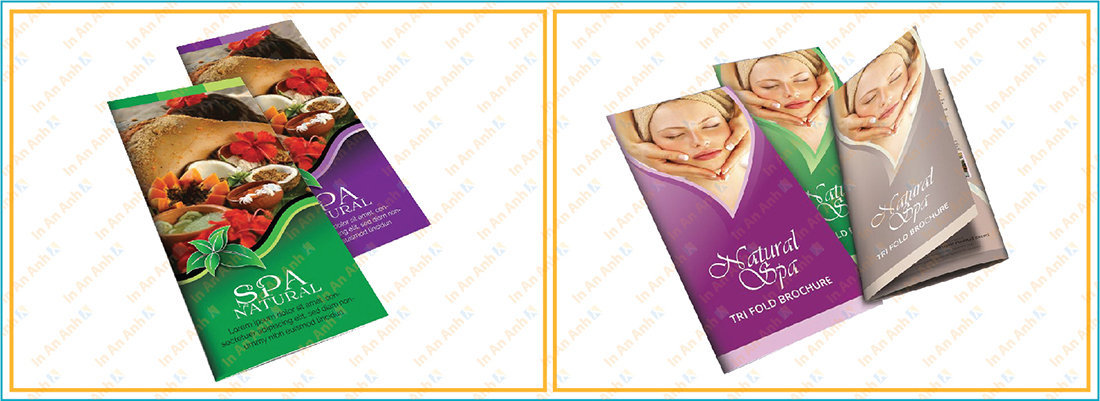 mẫu brochure spa đẹp