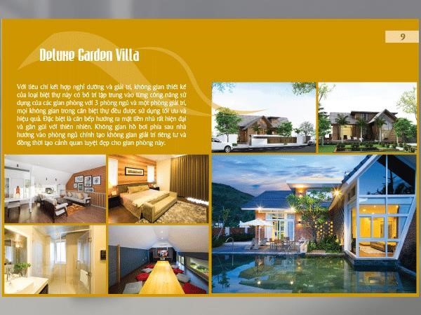 Mẫu in Brochure đẹp lấy gam màu vàng tươi mới, sống động, thổi bừng năng lượng