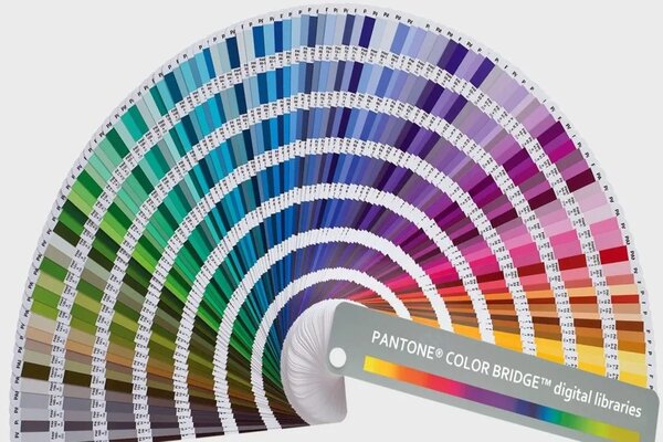 Cách kiểm tra màu trong bảng chia màu pantone