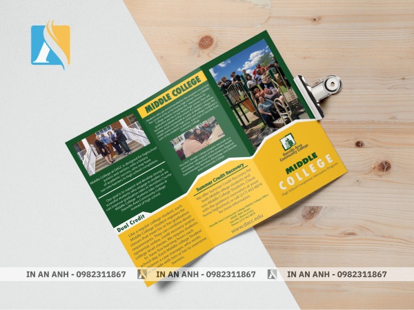 Thiết kế Pamphlet có bố cục nội dung rõ ràng, đẹp mắt