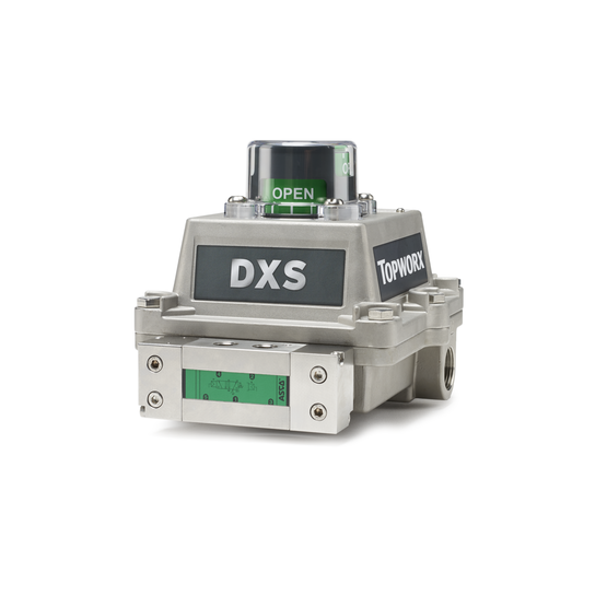 TopWorx ™ DXS