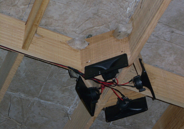 Nuôi yến bao lâu thì thu hoạch