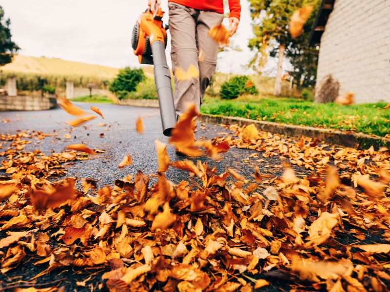 máy thổi lá là gì