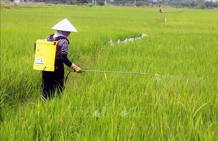 Hướng dẫn sử dụng máy phun thuốc trừ sâu