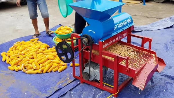 Chọn máy tách hạt ngô dựa trên công suất và khả năng vận hành