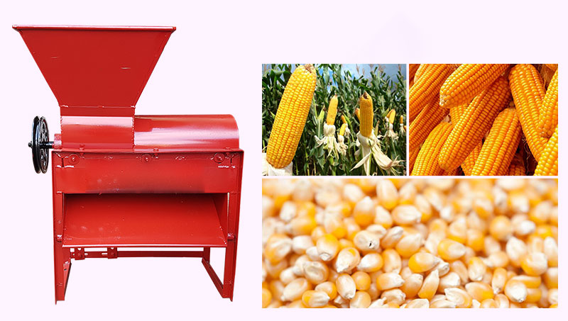 Chuẩn bị trước khi sử dụng máy tách hạt ngô