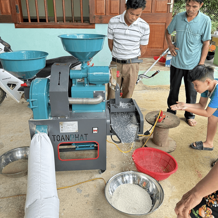 Gạo bị gãy nhiều, tỷ lệ tấm cao