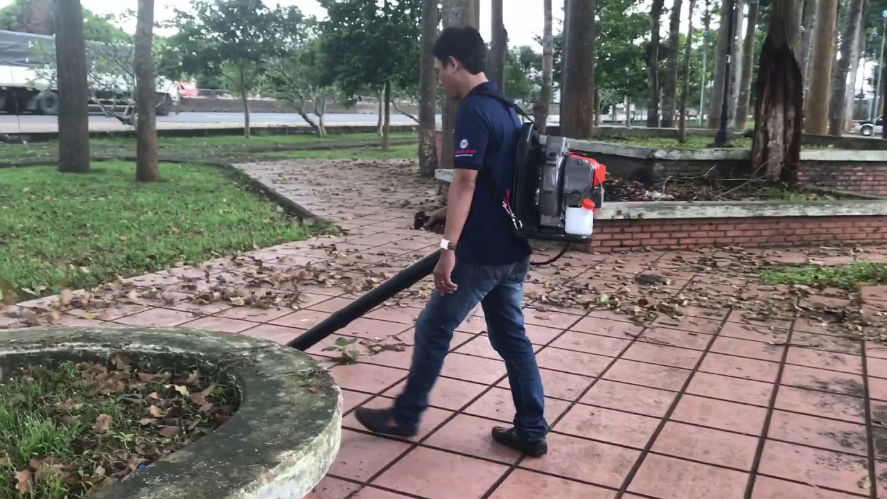 Những ứng dụng của máy thổi lá