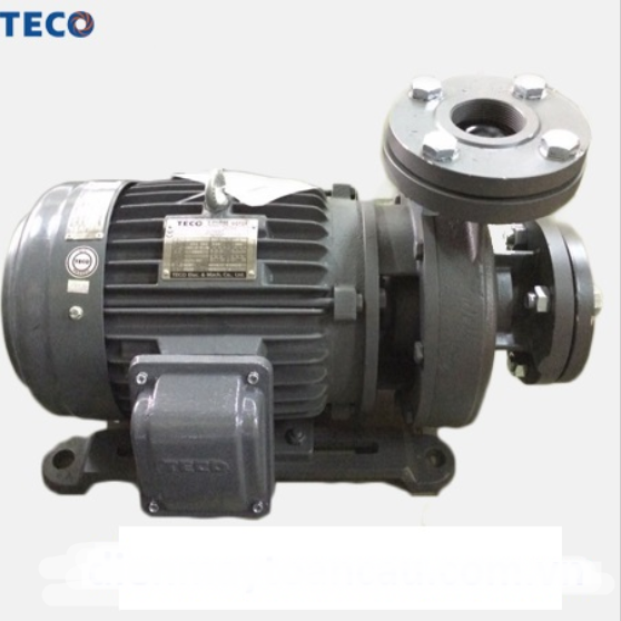 Máy Bơm Ly Tâm Trục Ngang Đầu Gang Teco G330-200-4P-30HP