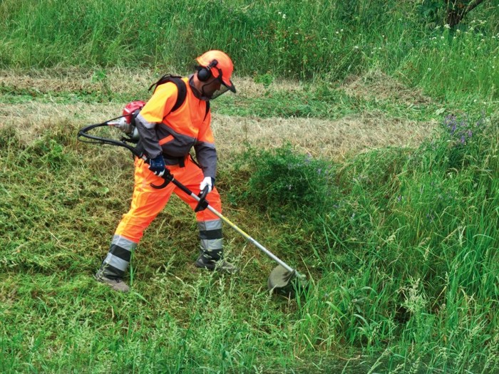 Máy cắt cỏ cầm tay