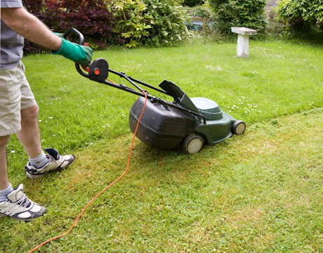 Máy cắt cỏ chạy điện giả rẻ