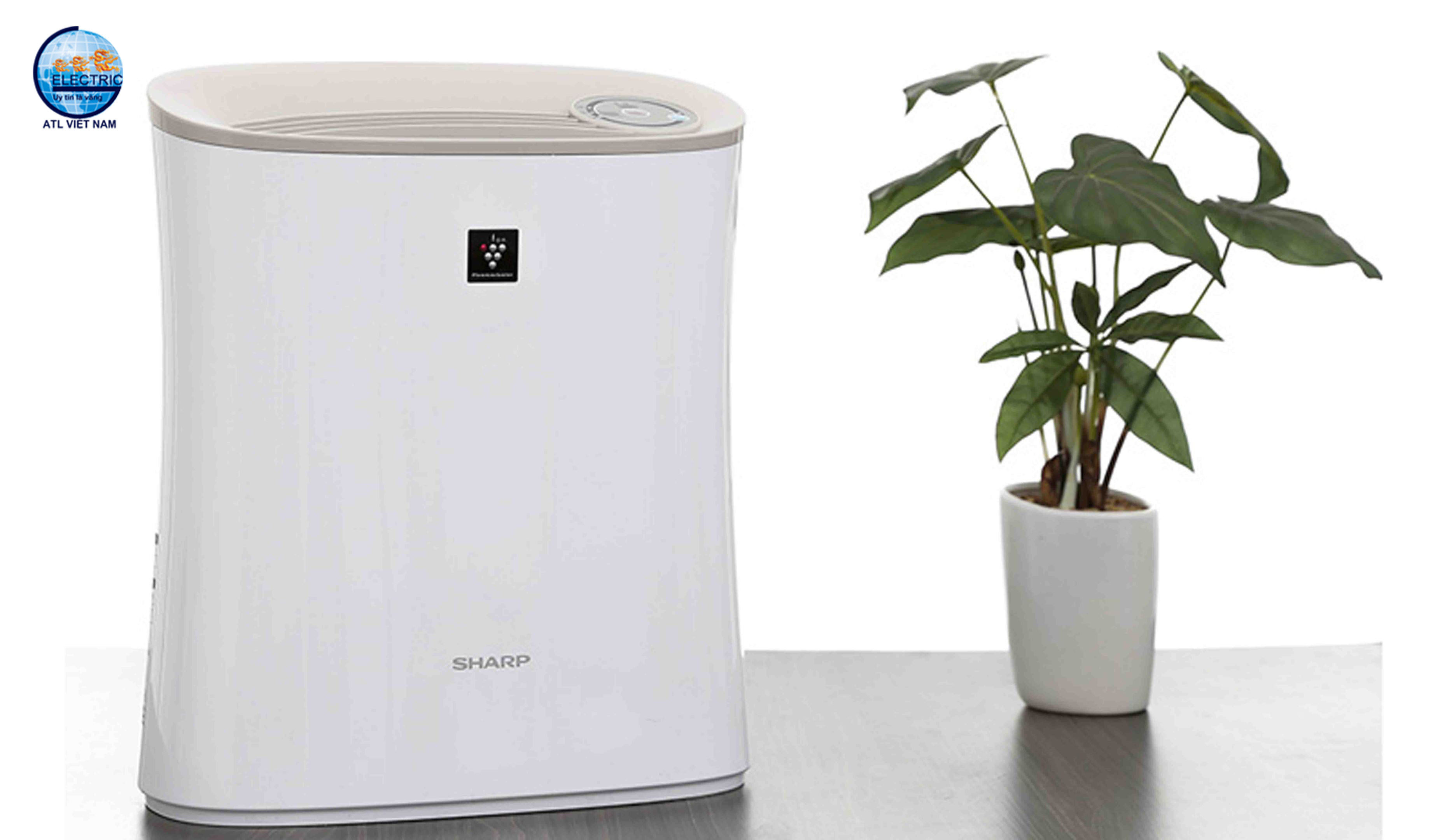Máy lọc không khí Sharp