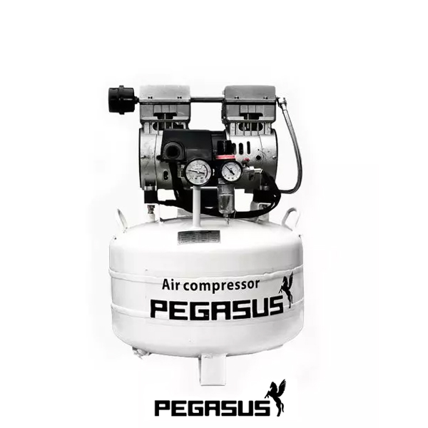 Máy nén khí không dầu pegasus TM-OF750-40L
