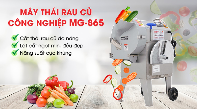 Máy thái rau củ quả công nghiệp đa năng MG-865