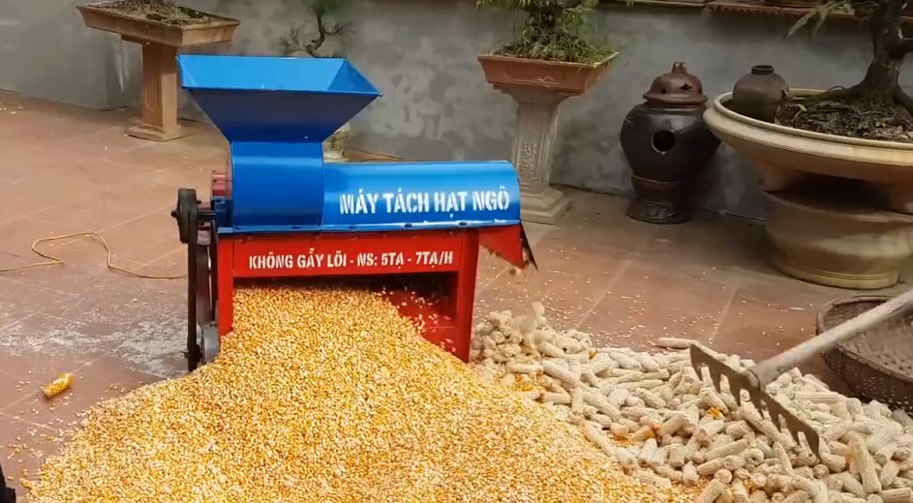 Tại sao nên đầu tư vào máy tách hạt ngô?