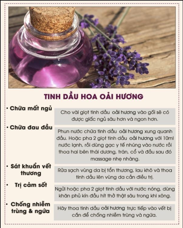 6-loai-thao-duoc-tu-nhien-nen-co-trong-tu-thuoc-gia-dinh