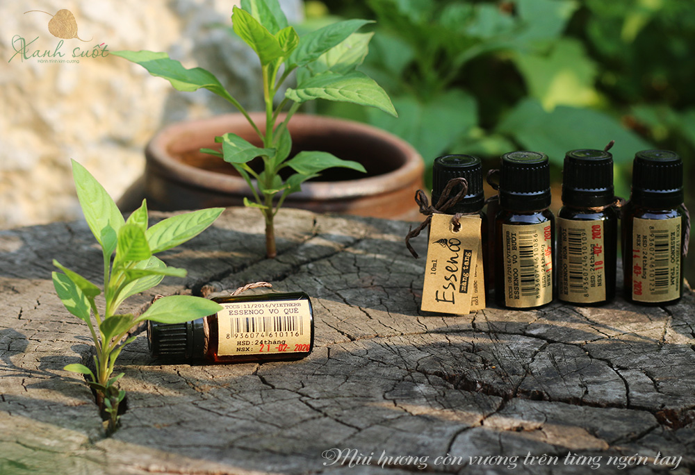 Mua tinh dầu nguyên chất Vietherb ở đâu