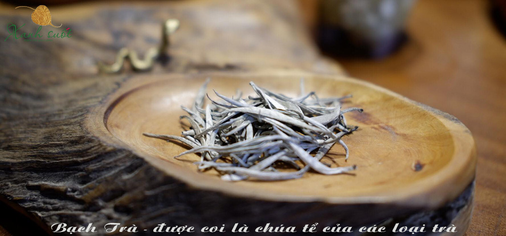 White tea Ha Giang