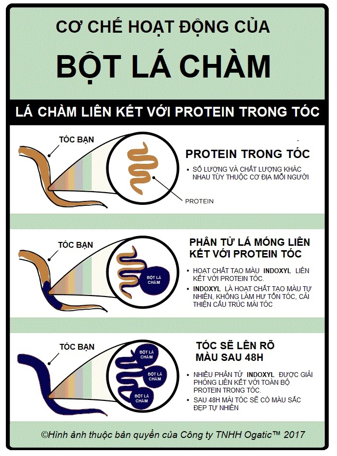 nhuộm tóc bằng lá chàm như thế nào