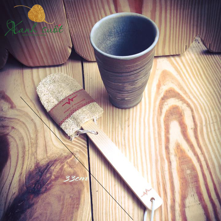 Cây chà lưng xơ mướp