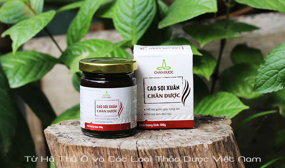 Hà Thủ Ô Đỏ có tác dụng gì