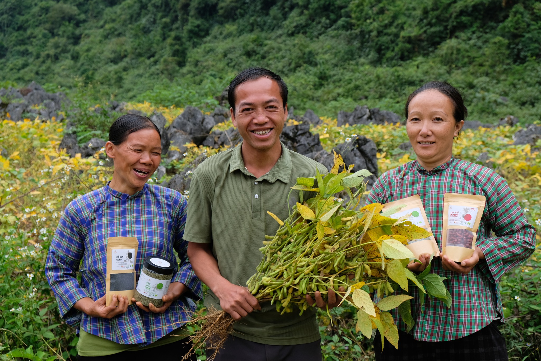 mua đậu thuần chủng Việt Nam