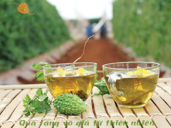 Cách pha trà khổ qua rừng